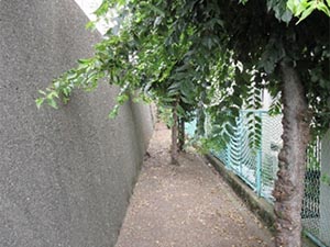 除草・薬剤散布