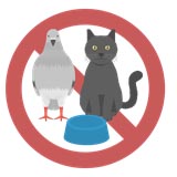イラスト_鳩や野良猫に餌を与えないで