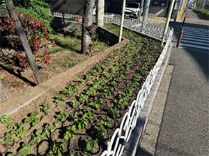 �ʐ^_�Ή����i�^��